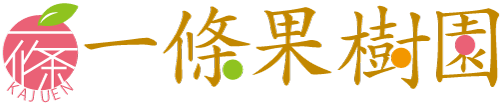 【公式】一條果樹園 福島県伊達市梁川町 ぶどう・もも・あんぽ柿